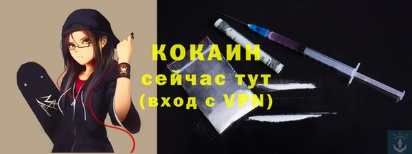кокс Алексин